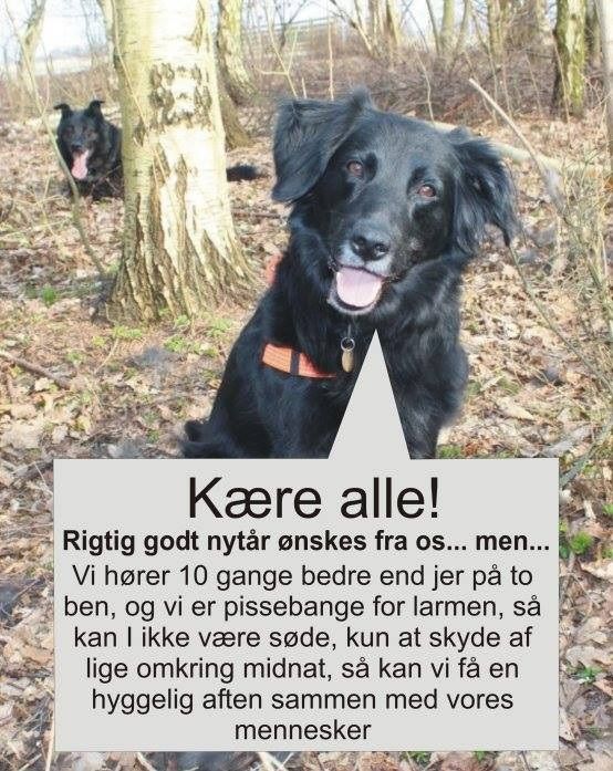 Beskrivelse